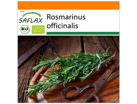 SAFLAX Garden In The Bag Orgânico Alecrim Rosmarinus Officinalis 40 Sementes com Substrato de Cultivo em Saco Prático e Automontante