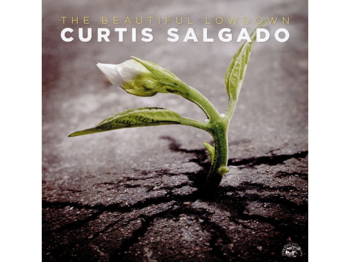 CD Curtis Salgado - The Beautiful Lowdown