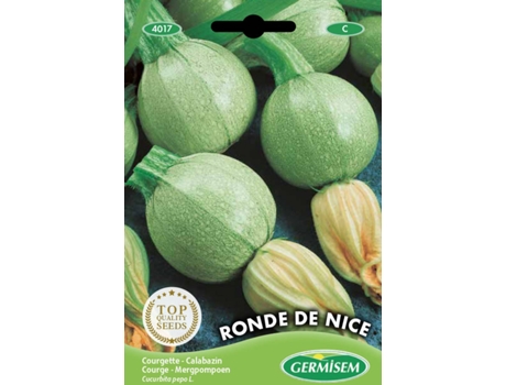 Sementes  Courgette Redonda De Nice