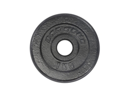 Placa de Peso de Ferro 1 kg Prateado 1Kgbodytone