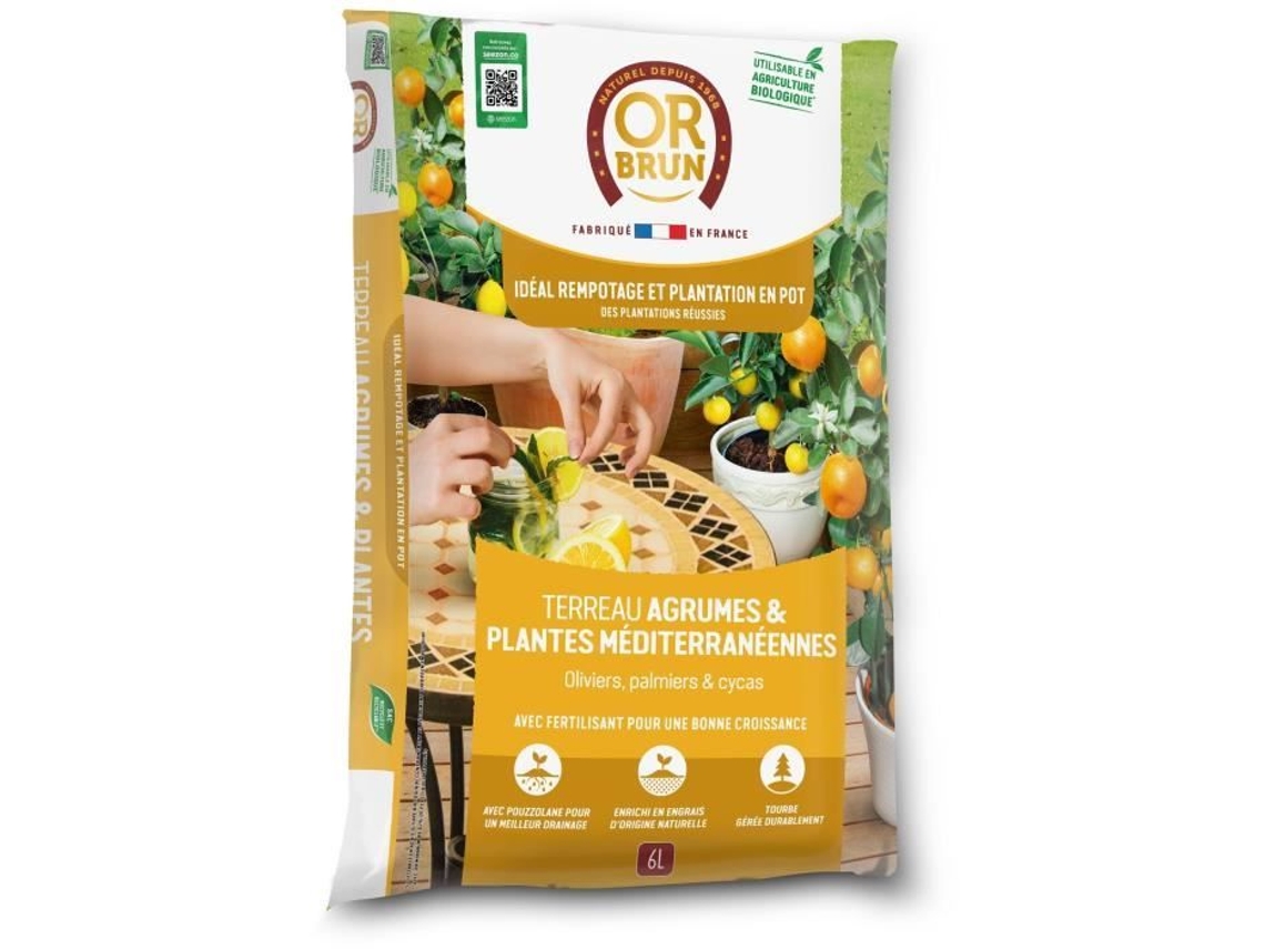 Terra Para Cítricos Plantas Mediterrâneas Or Marrom Obrtagr6u 6l Oliveiras Palmeiras Cycas Or Brun
