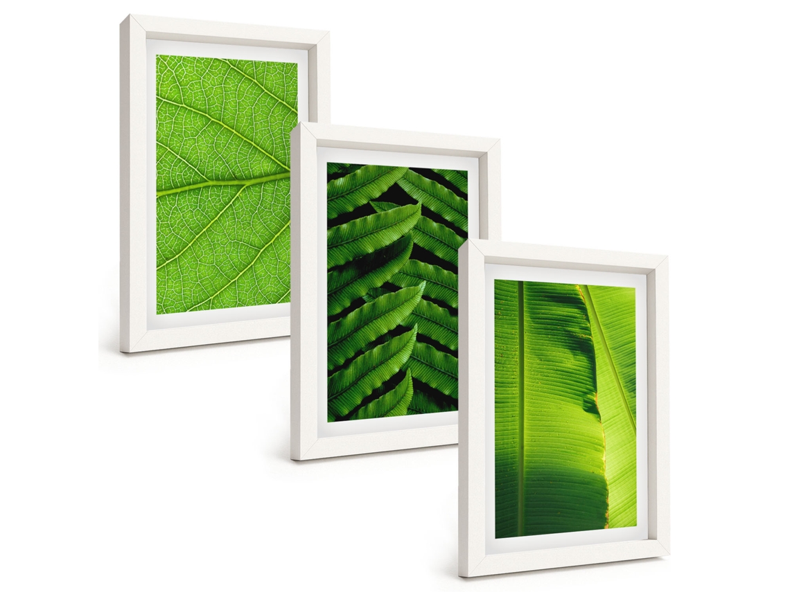 Galeria De Pinturas Na Parede Folhas Tropicais, Macrofotografia Moldura Branca Pinturas De Quarto Espelharte (3 Peças 20x30 Cm)