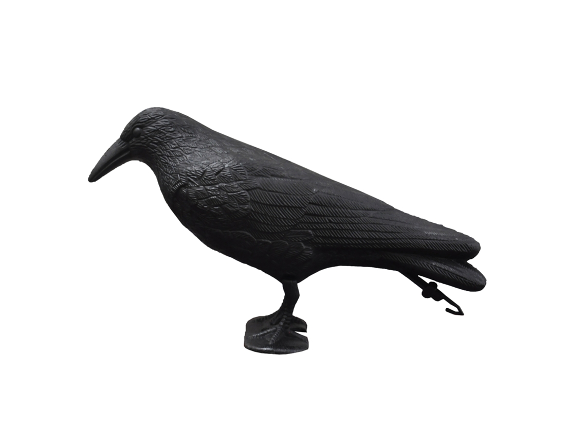 Laxiscreed Decoração De Halloween Com Corvos E Gizes De Plástico Para Jardim E Ambiente Temático
