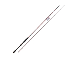 Cana De Pesca DTD Cana egging calamari hunter