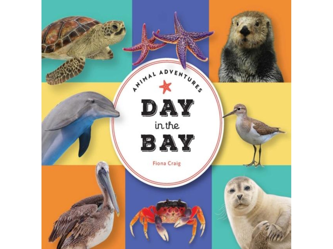Livro Animal Adventures Day in the Bay de Fiona Craig (Inglês)