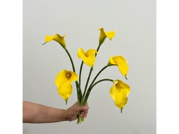 Início/Decoração/Plantas e Flores Artificiais Lyx