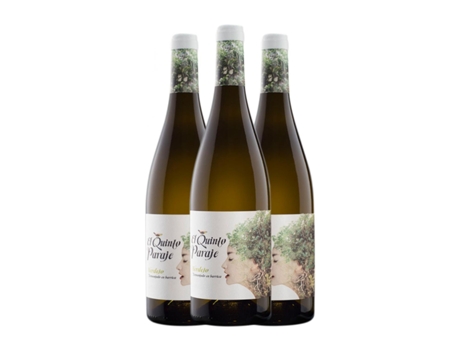 Vinho branco RODRÍGUEZ & SANZO El Quinto Paraje Verdejo Rueda Crianza (0.75 L - 3 Unidades)