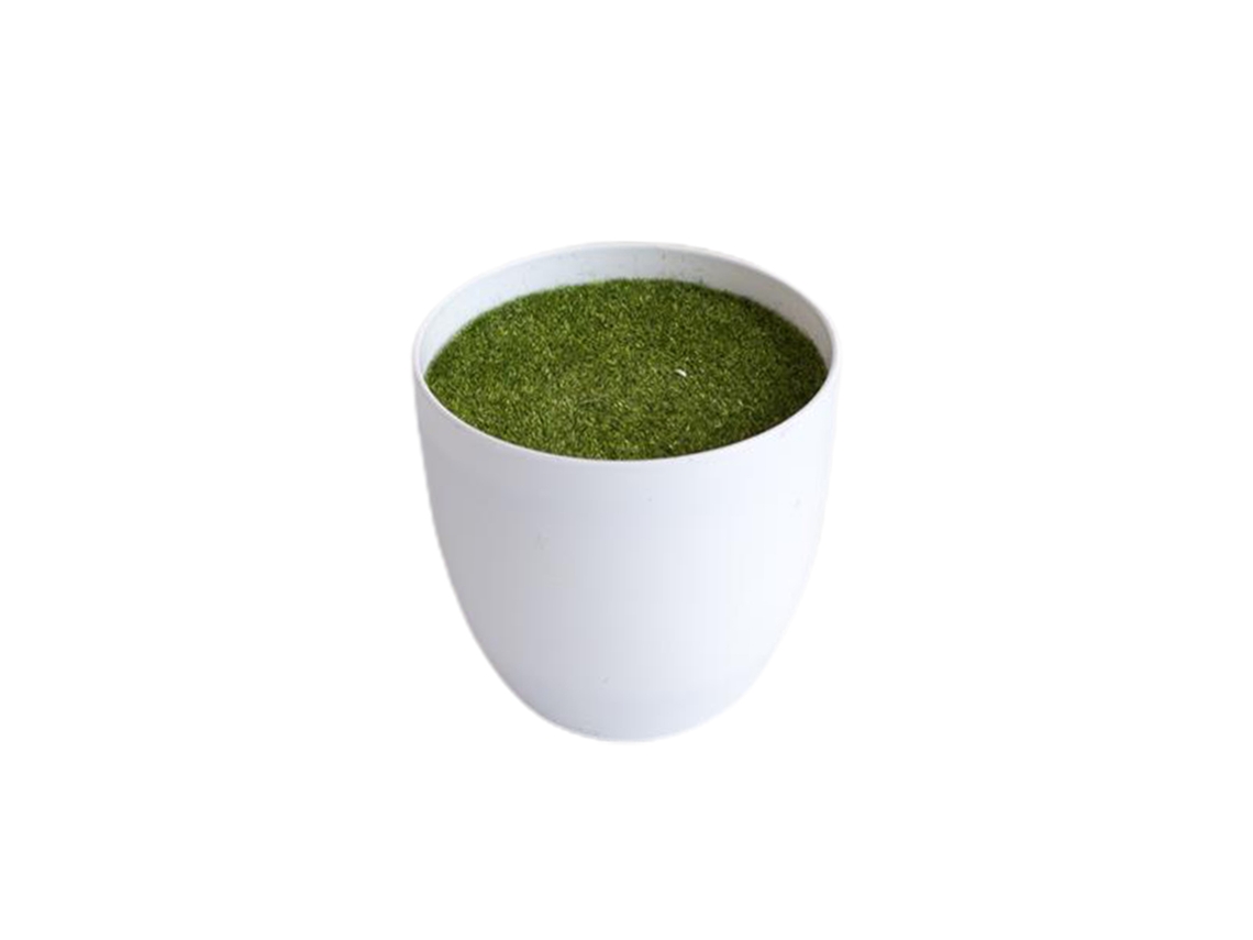 Laxiscreed Jardim De Vais Com Flores E Terra Para Plantas Pequenas