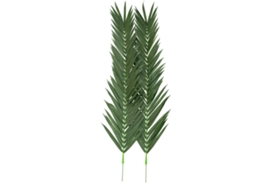 Planta Artificial EUROPALMS Coconut King Palm Branch (Verde - 210 cm)