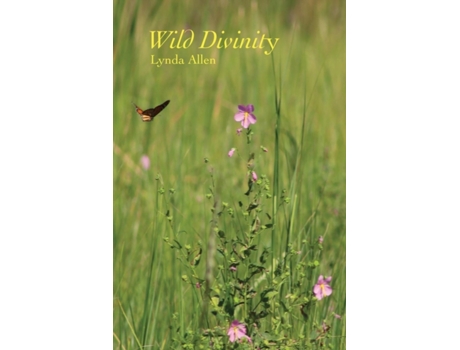 Livro Wild Divinity Lynda Allen (Inglês)