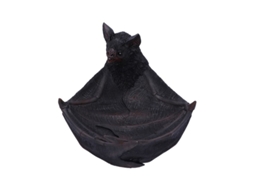 Winged Watcher 24.1cm NEMESIS NOW