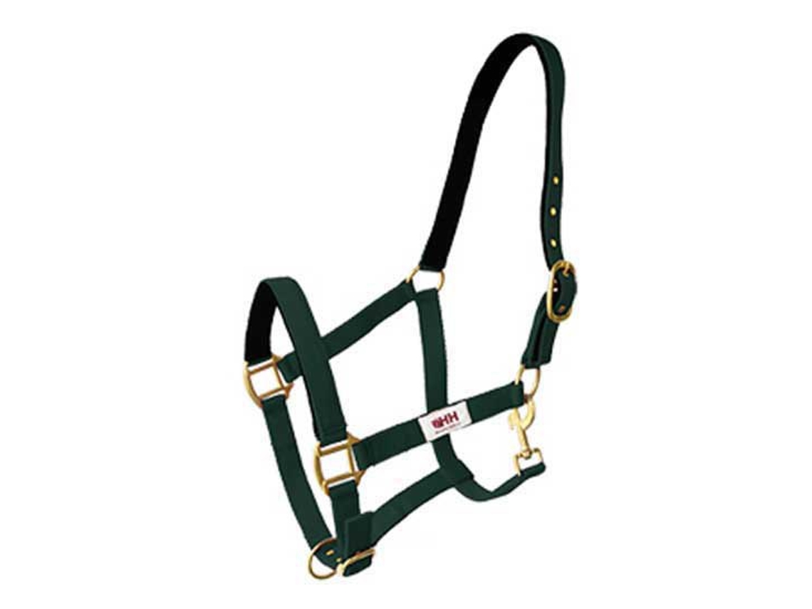 Camada Dupla Carabiner Halter Nylon Verde Cobhispano Hipica