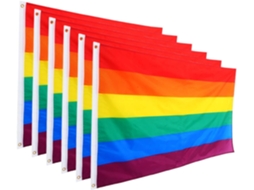 Conjunto De 6 Bandeiras Do Orgulho Lgbtq Para Uso Interno E Externo Em Paredes. Gokoco
