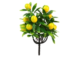 Planta De Laranja Dourada 12 Estacas Sem Vas