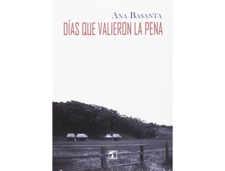 Livro Días Que Valieron La Pena de Ana Basanta Díaz (Espanhol)