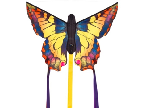 Brinquedo HQ KITES & DESIGNS USA 100300 (5 anos)