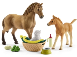 Conjunto de Bonecos SCHLEICH 42432