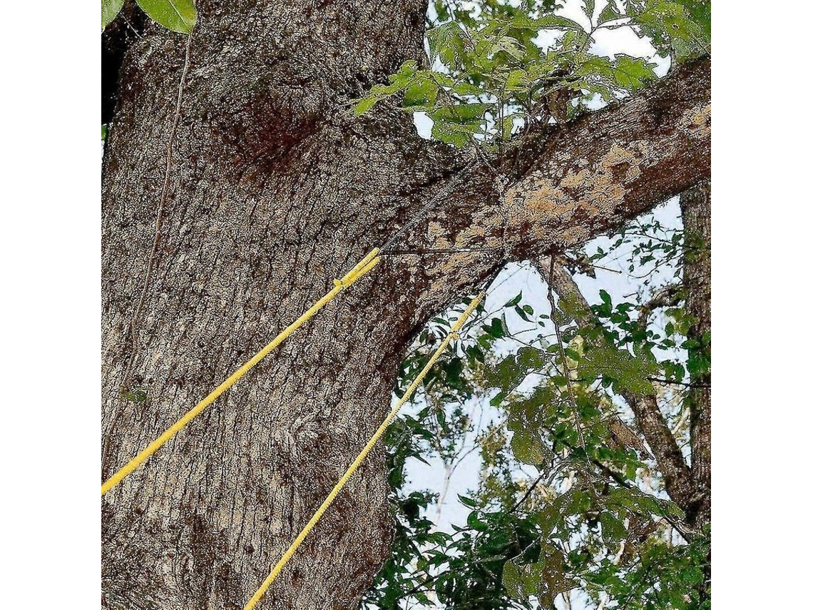 Sierra De Cadena Con Cuerda Para Árboles 48 Pulgadas De Alcance Alto De Doble Lado Herramienta Portátil