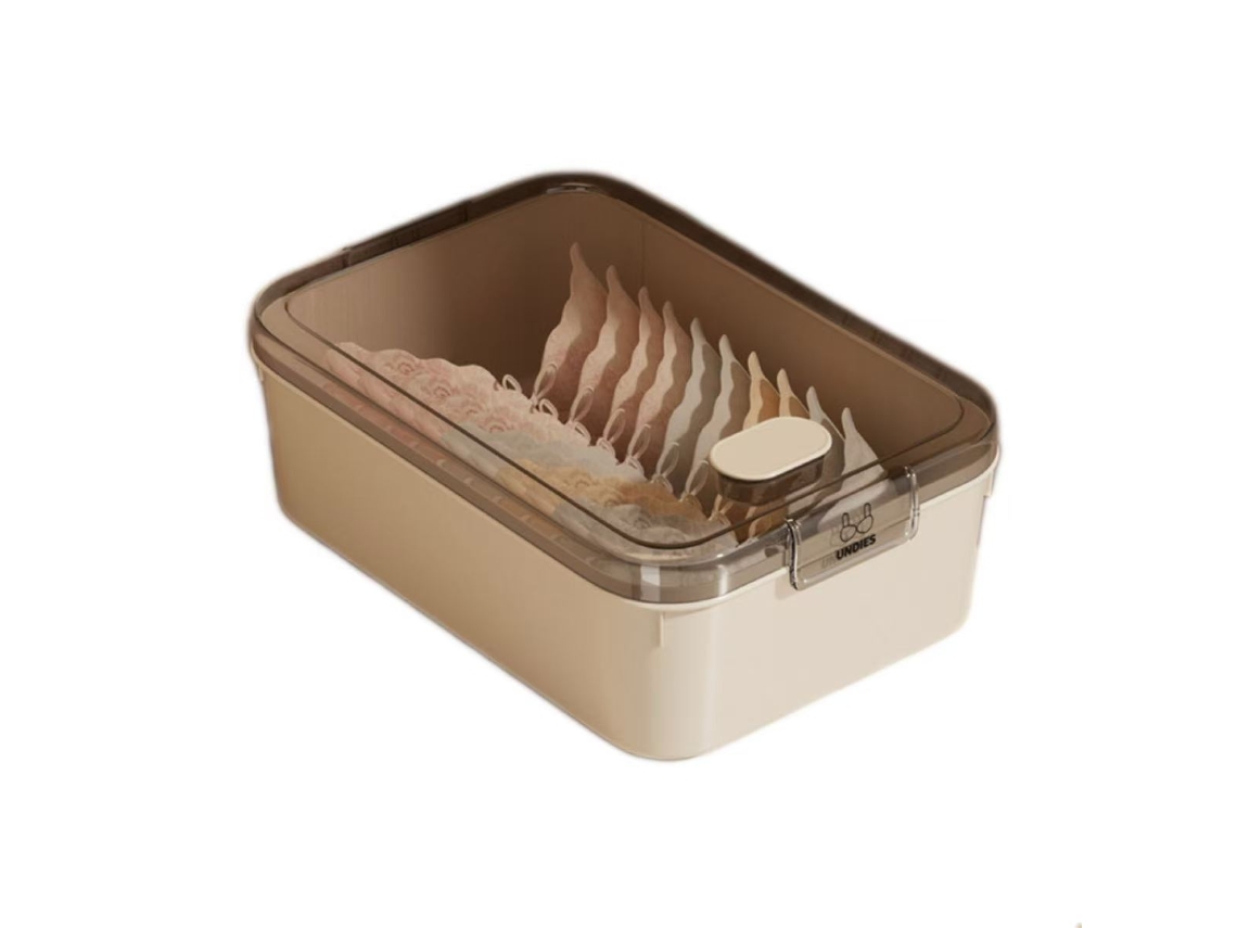 Caixa organizadora de roupas, sem divisórias, tampa, 30,8x21,2x10,9 cm, ZSANFS