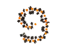 Vinha De Maple Artificial Com Luzes Abóbora Sorridente