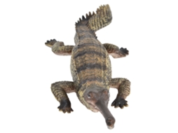 Primerox modelo de Animal Simulado para Crianças Brinquedo Fofo Educativo Presente de Aniversário