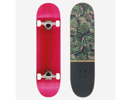 Plants Skateboard Completo 8.125 Para Iniciantes E Avançados Btfl