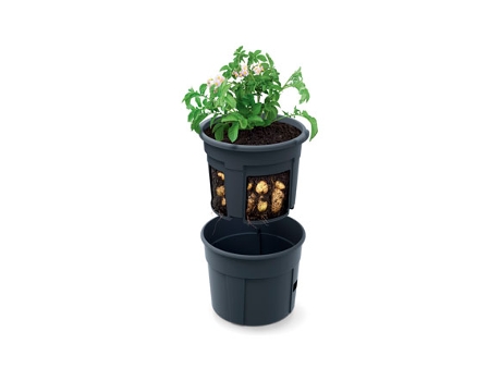 Maceta Con Estructura Para Cultivar Tomates VAM