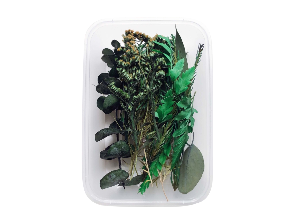 Conjunto de 10 Flores Secas Verdes para Velas LAXISCREED