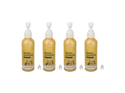 2026 champú de Jengibre para Crecimiento Capilar 100ml Eliminación de Caspa Alivio Del Picor 4pcs