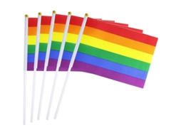 50 Bandeiras Pequenas De Orgulho Arco-íris Em Bastão Para Festa Lgbt Decoração