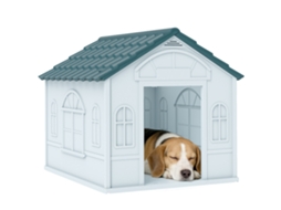 Casota Para Cães Médios Com Janelas Telhado Azul E Branco