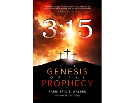 Livro 3 de Rabbi Eric E Walker (Inglês)