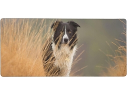 Mousepad Grande para Computador com Estampa de Border Collie, Borda Preta e Branca, Base Borracha Antiderrapan