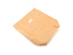 Bolsa de piquenique impermeável e isolada Aquaforge, lancheira de papel Dupont para crianças, mulheres e homens (marrom)