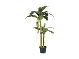 Planta Decorativa MICA DECORATIONS (115 x 180 Cm)