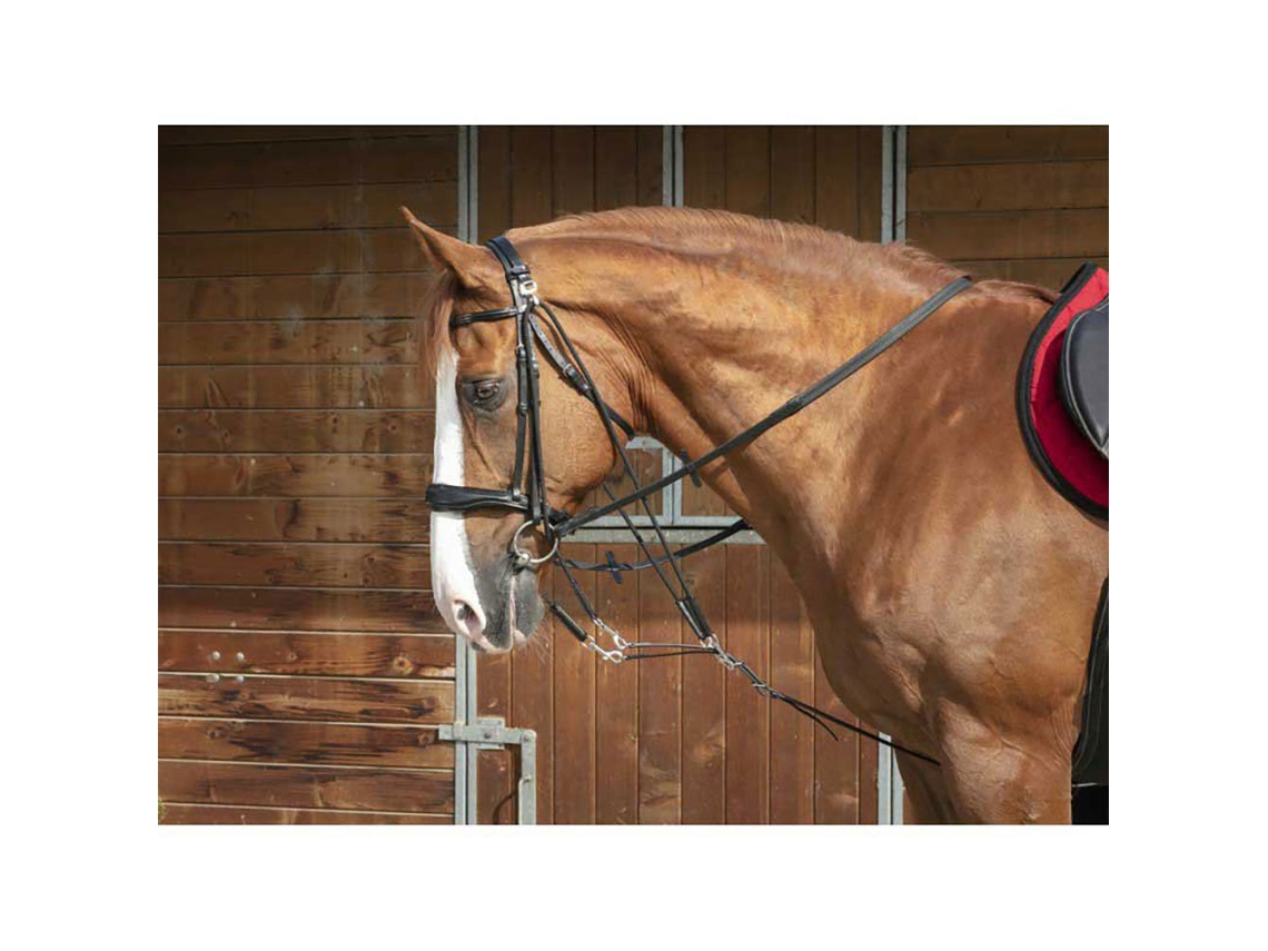 Com Polias Gogue Dourado Fullnorton Equestrian