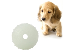 Bola luminosa para cães, resistente ao mordido, brinquedo interativo, 6cm com Marca
