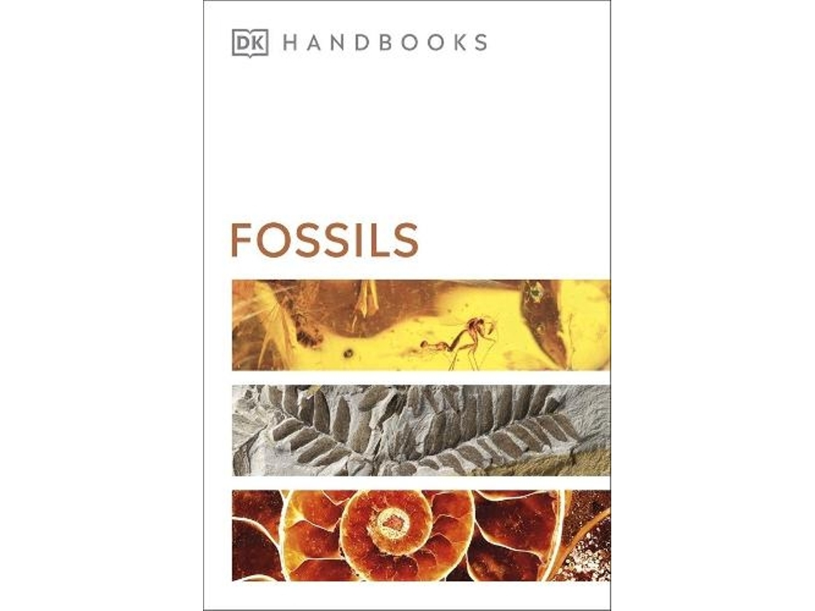 Livro Fossils de Dk Publishing (Inglês)