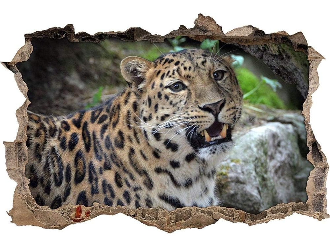 Adesivos Muraux Lindo Leopardo Adesivo Mural Para Salao De Beleza Quarto Cozinha Escritório Adulto Criança 70x110cm