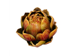 Planta Artificial de Abacaxi Grande LAXISCREED