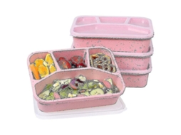 Conjunto de 4 lancheiras Bento reutilizáveis para crianças e adultos com 4 compartimentos.