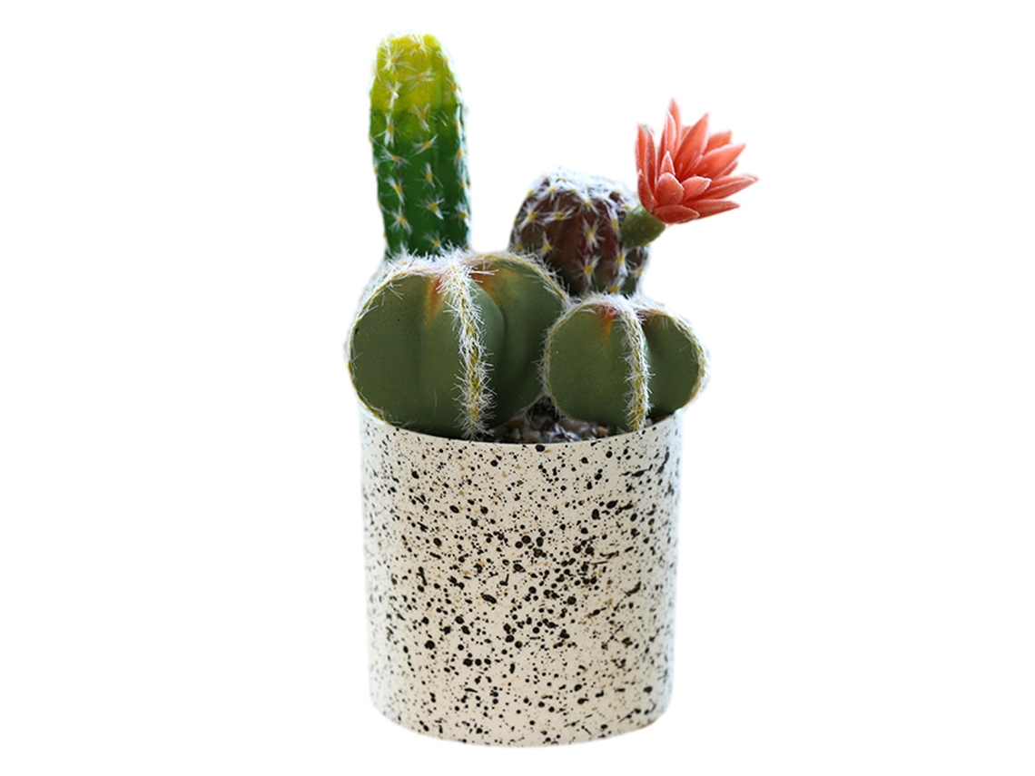 Flor Falsa de Cacto Tropical Bonsai Decoração Criativa Planta Verde RNEMITERY
