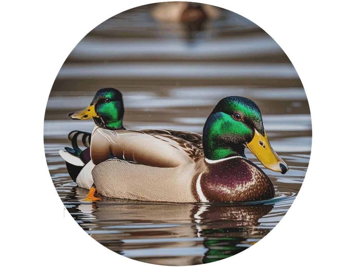 Almofada Redonda Para Cadeira De Jantar Mallard Em Algodão Viscose, Almofada Grossa E Macia Para Cadeira, Ideal Para