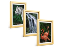 Quadros Decorativos Para Paredetigre, Cachoeira, Flamingos, Natureza Moldura Dourada Quadros Para O Escritório Espelharte (3 Peças 20x30 Cm)