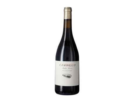 Vinho CÁMBRICO Pizarra Rufete Vino de la Tierra de Castilla y León (0.75 L - 1 Unidade)