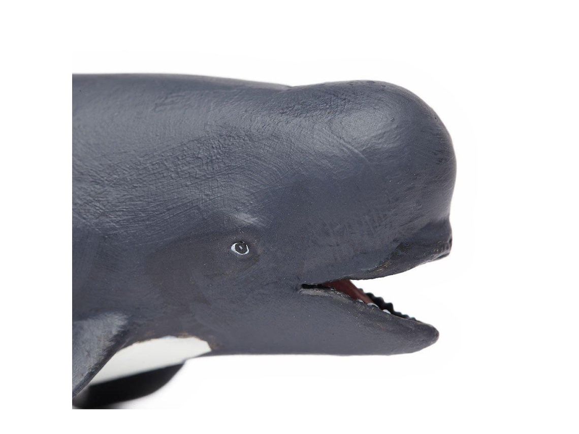 SAFARI Pilot Whale