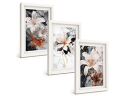 Um Conjunto De Imagens Decorativas Em Uma Moldura Flores, Mármore Branco E Preto Moldura Branca Pinturas De Quarto Espelharte (3 Peças 20x30 Cm)