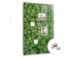 Lousa Magnética Árvores Da Floresta Para O Escritório Espelharte (60x90 Cm)