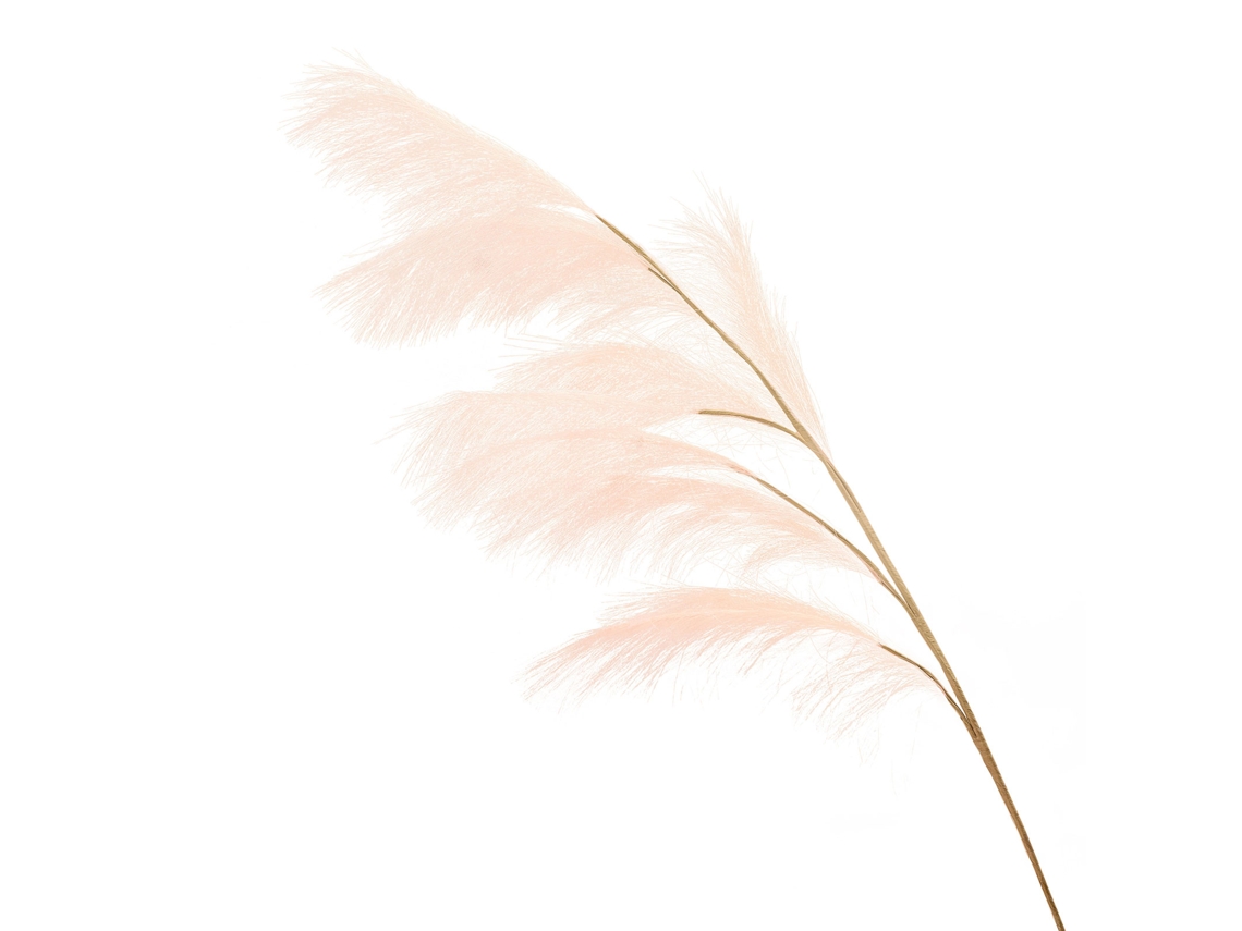 Capim Pampas Falso 110cm S/MARCA