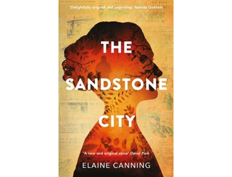 Livro Sandstone City, The De Elaine Canning (inglês)